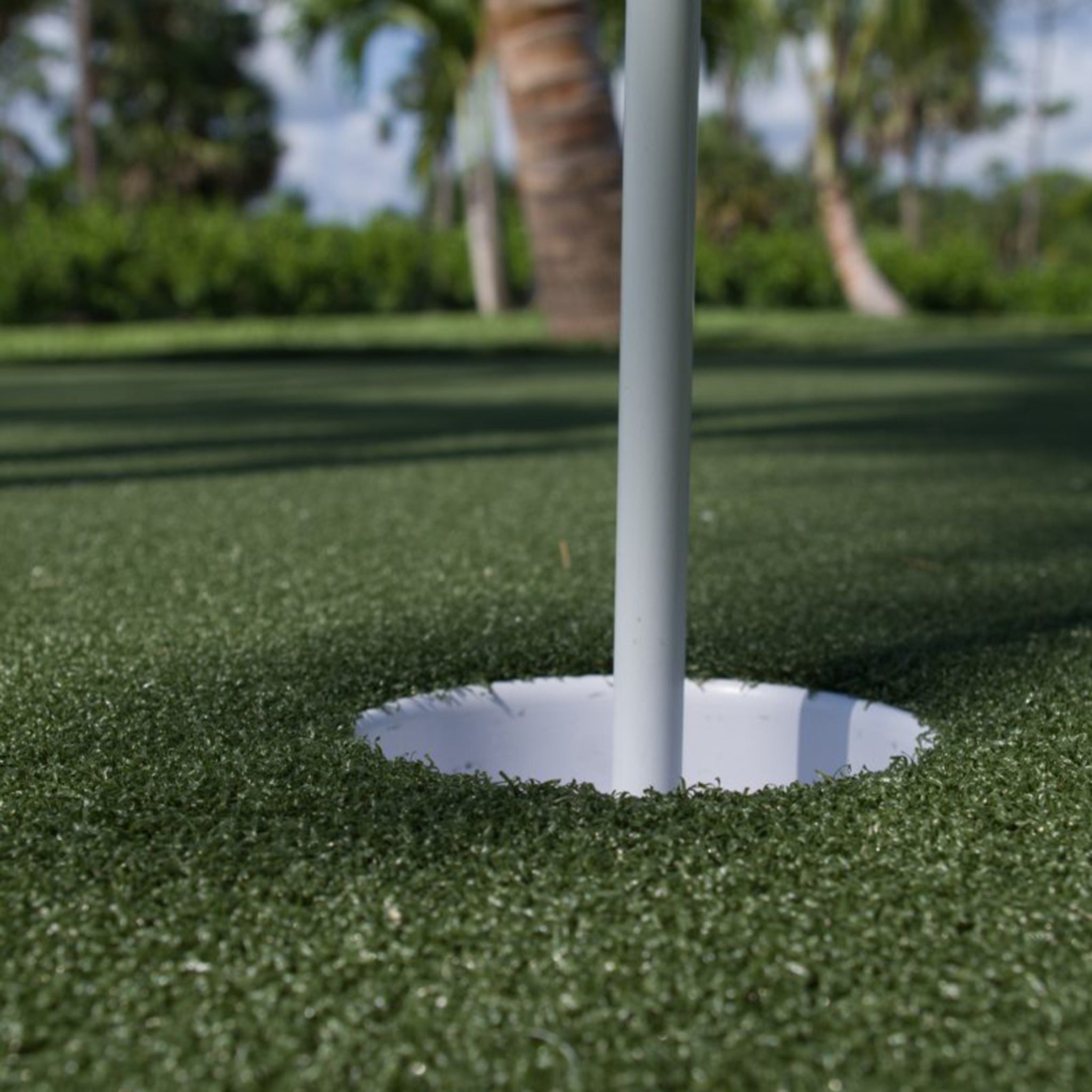 SIG Money Putt Golf Turf