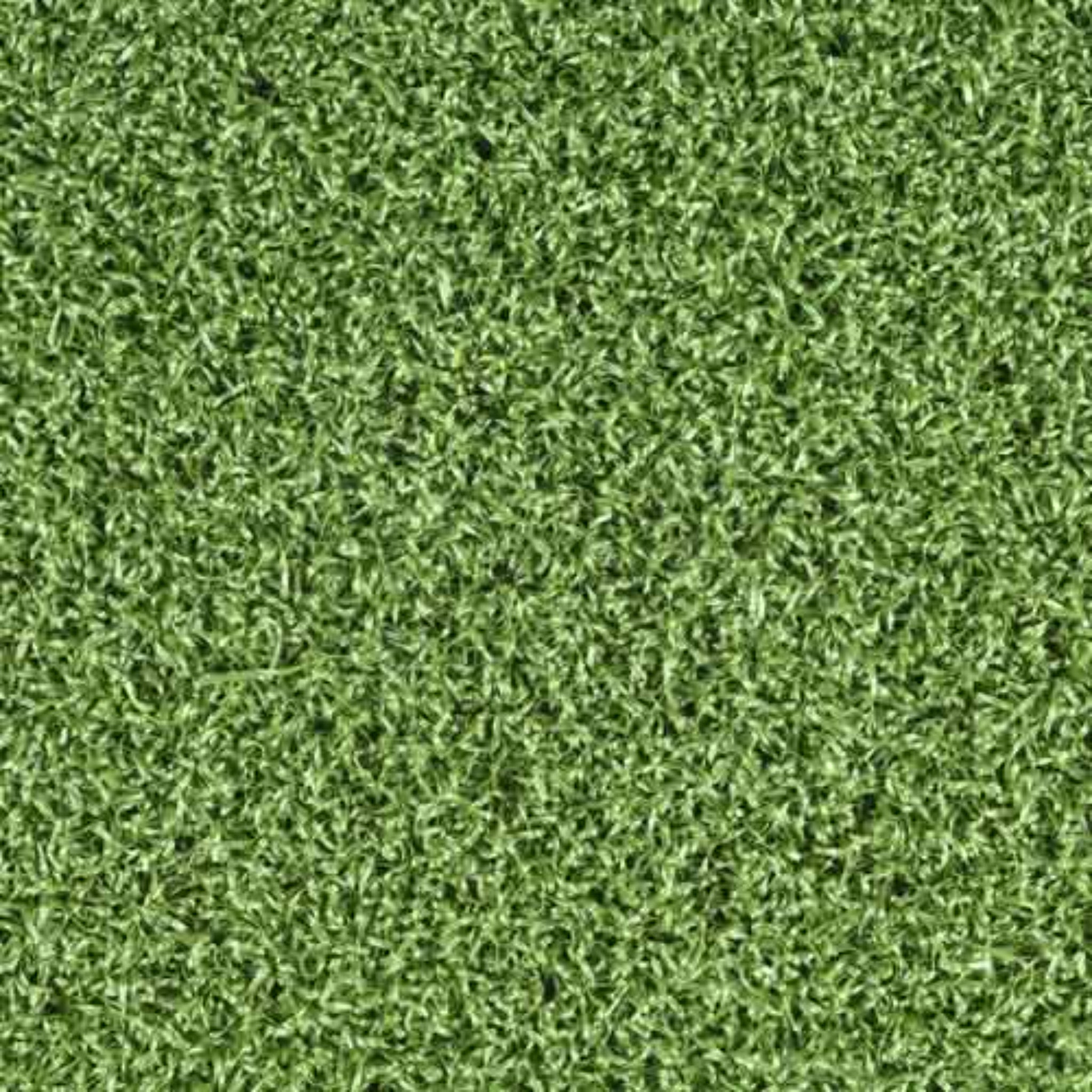 SIG Money Putt Golf Turf